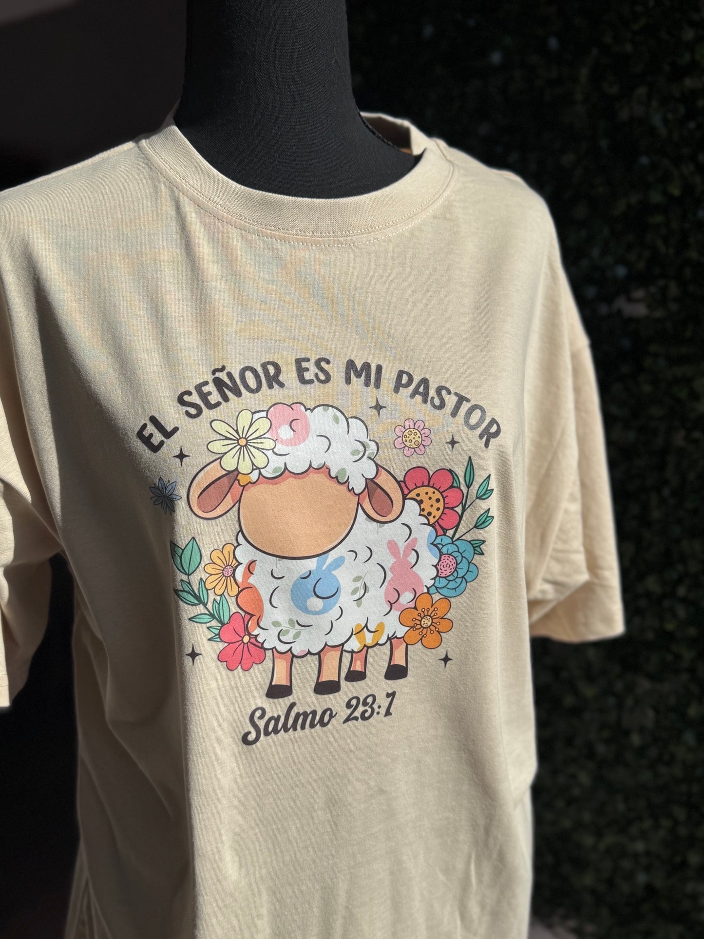 El señor es mi pastor